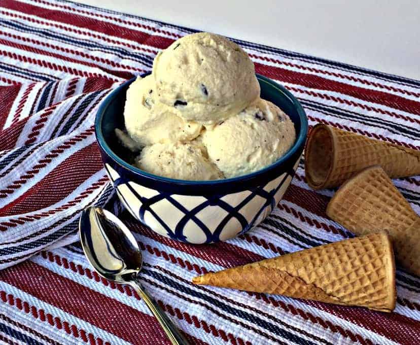 dark chocolate chip ice cream
