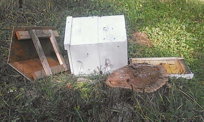 A bee hive knocked over with the lid and bottom of the hive.