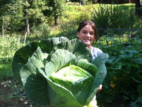 A girl holding a giant sized cabbage.
