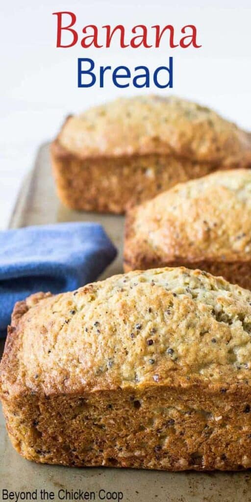 Three small loaves of bread lined up in a row.