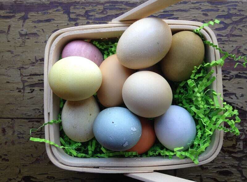 Basket of Easter eggs in soft muted colors.