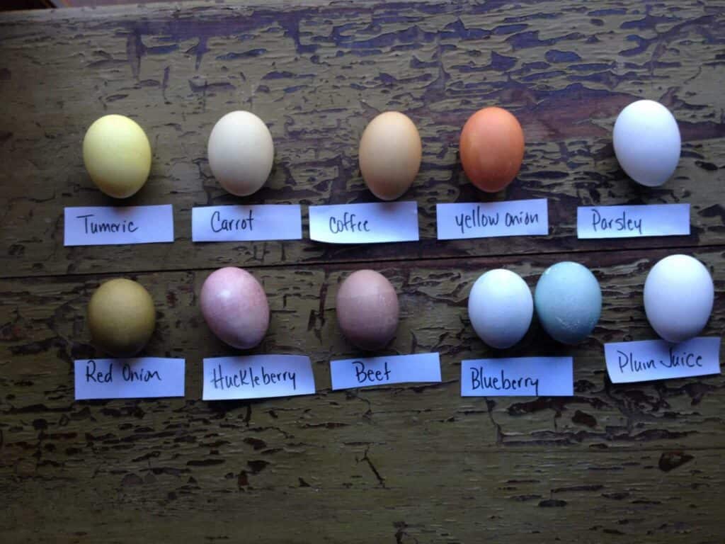 Hard boiled eggs in different colors on a board.