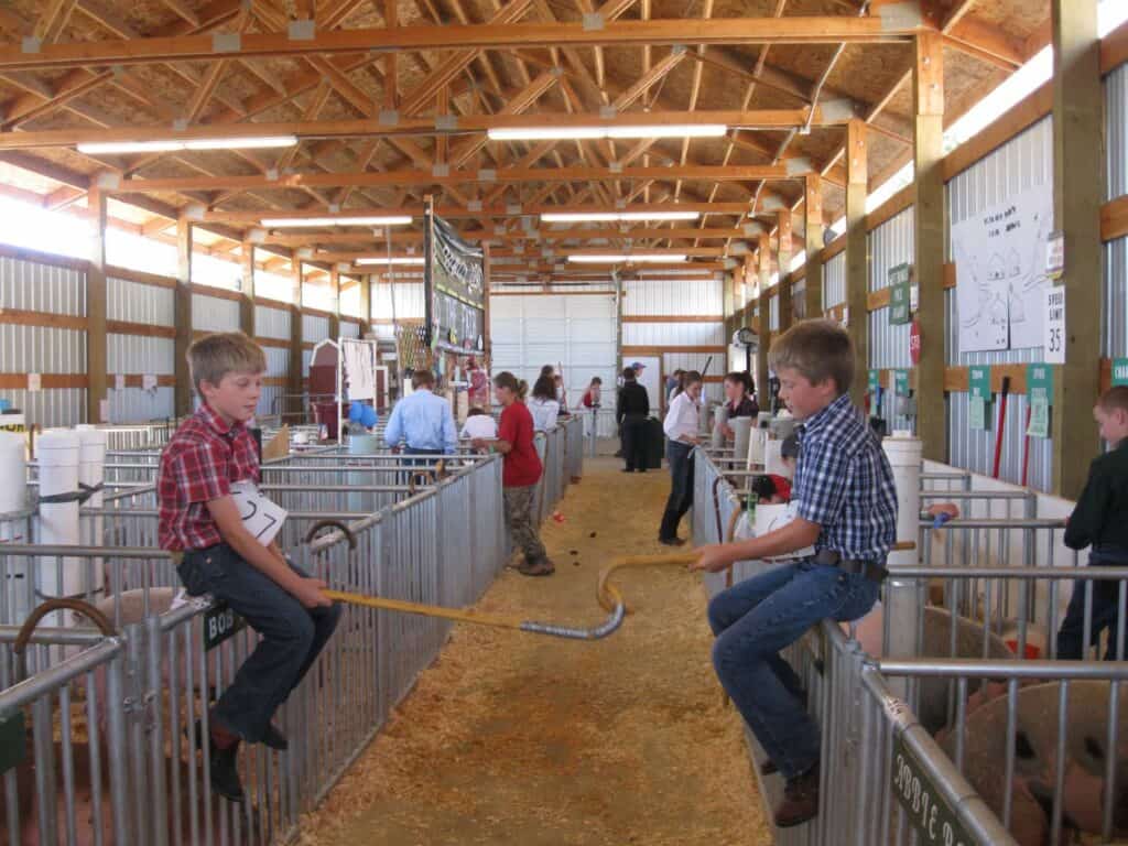 Two boys sitting inside a pig barn at the county fair. 