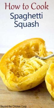 Spaghetti Squash Boiled Whole - Beyond The Chicken Coop