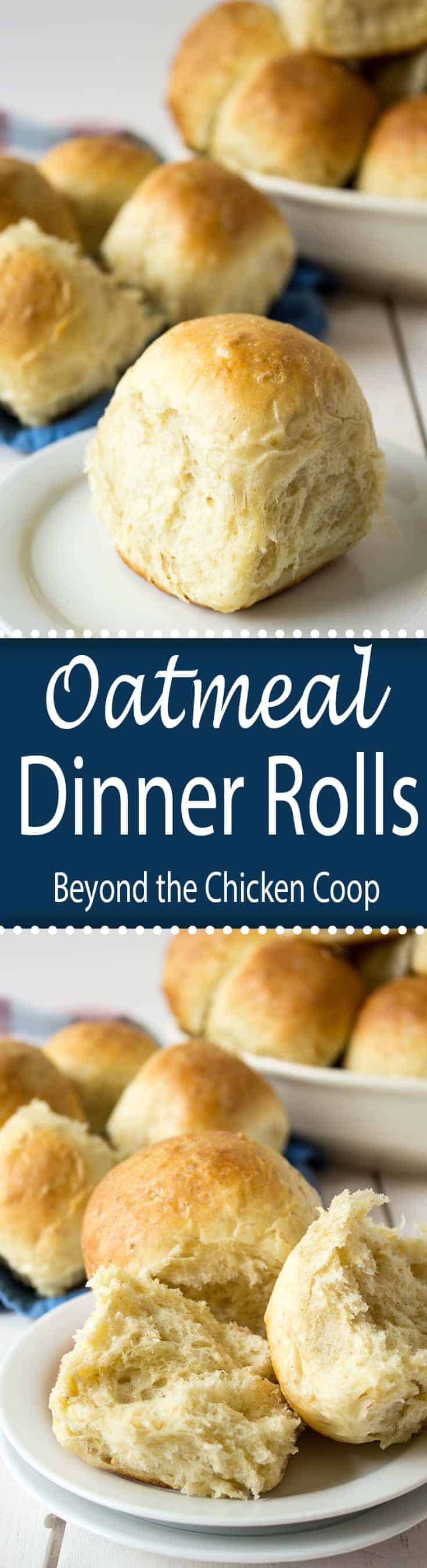 Homemade dinner rolls make everyday extra special. These oatmeal dinner rolls are a family favorite.