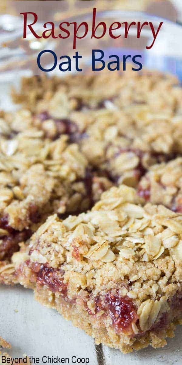 Raspberry Oatmeal Bars 9x13 Raspberry