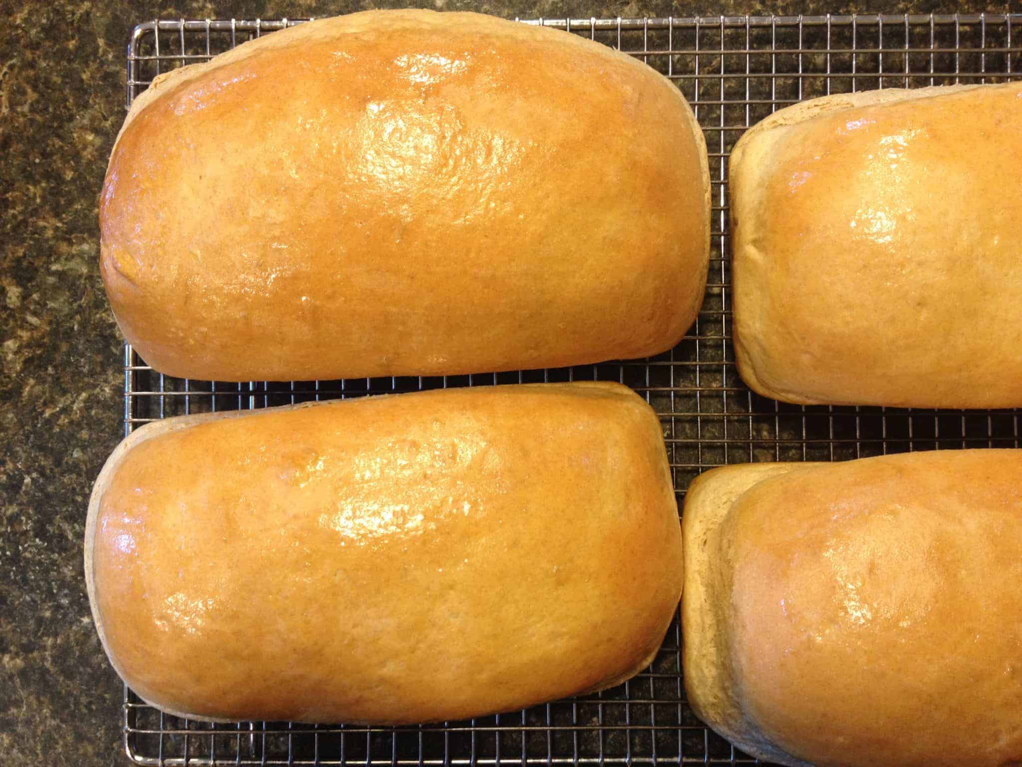 White Sandwich Bread Beyond The Chicken Coop