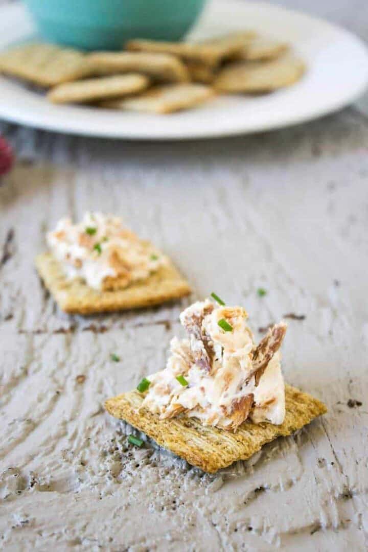 Smoked Salmon and Cream Cheese Dip - Beyond The Chicken Coop