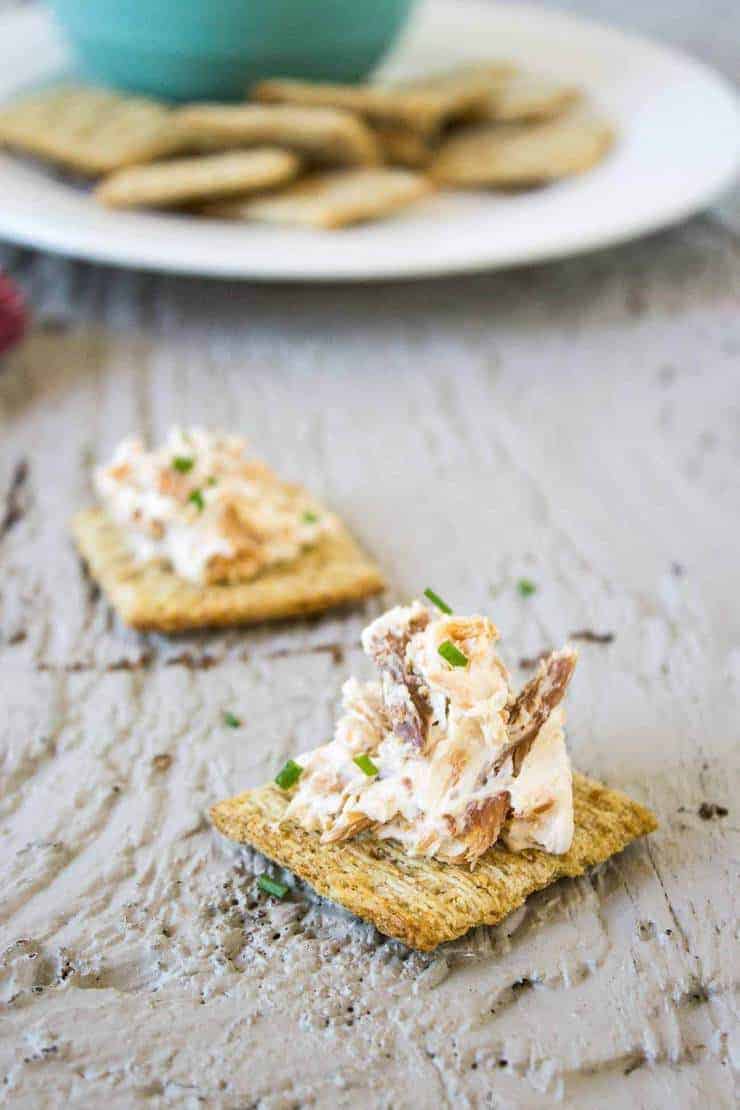 Smoked Salmon and Cream Cheese Dip - Beyond The Chicken Coop