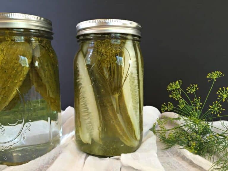Dill Pickles Beyond The Chicken Coop