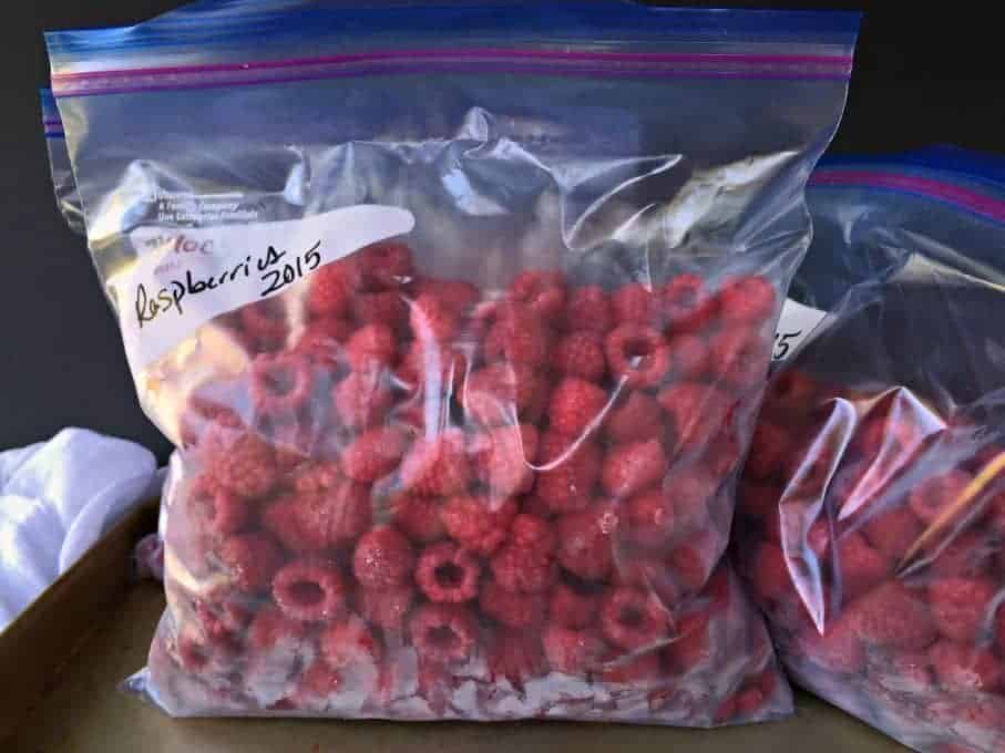 Frozen Raspberries in freezer safe bags.
