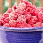 A blue bowl filled with frozen raspberries.