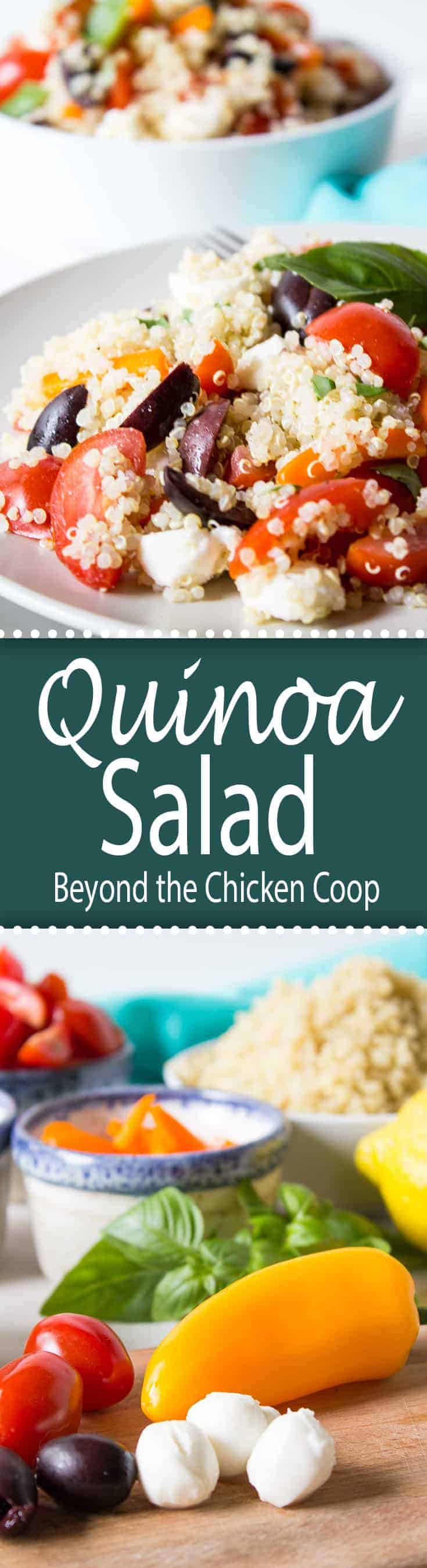 Quinoa salad with fresh veggies, mozzarella cheese, kalamata olives and lemon juice.