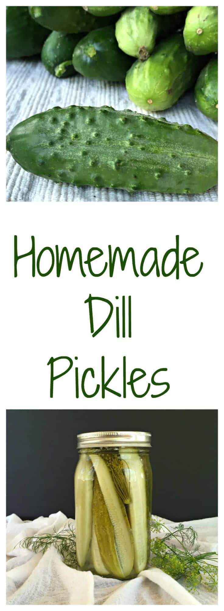 Homemade Dill Pickles made one jar at a time or a dozen jars at a time.