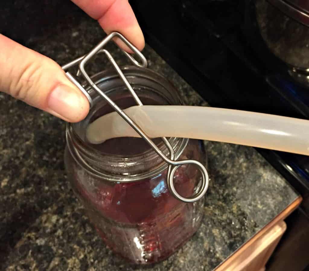 Squeezing the clasp to allow the plum juice to flow into a jar.