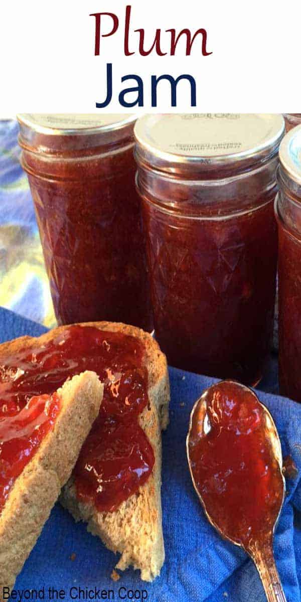 Plum jam spread on toast and on a spoon.