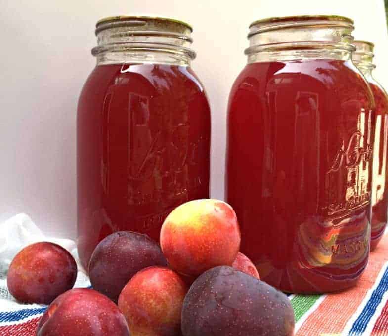 Fresh plums on a towel and plum juice in glass quart jar.s
