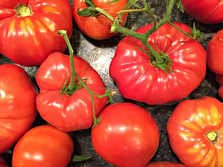 Fresh garden tomatoes on a black counter. 