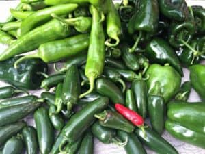 An assortment of green chili peppers and one red jalapeno.