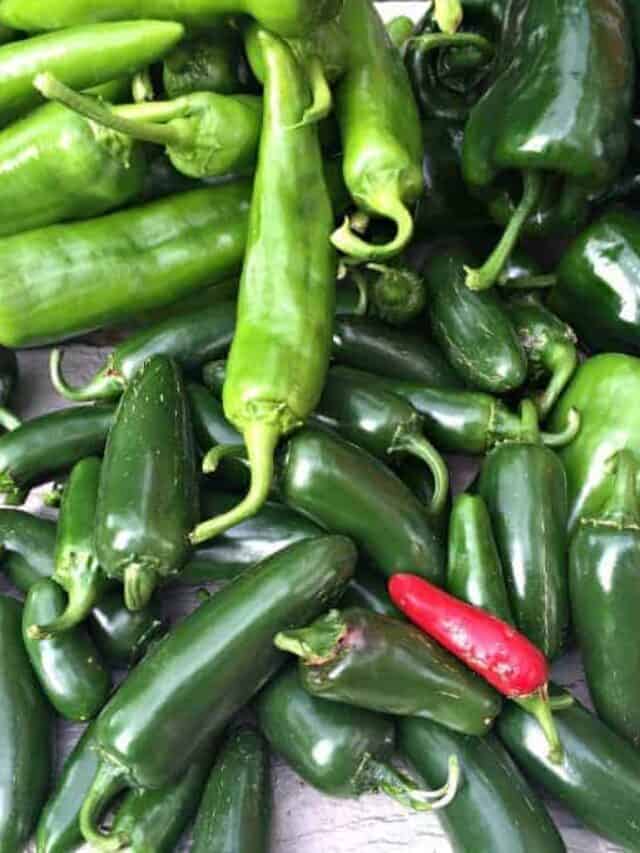 Recipes with Roasted Chiles