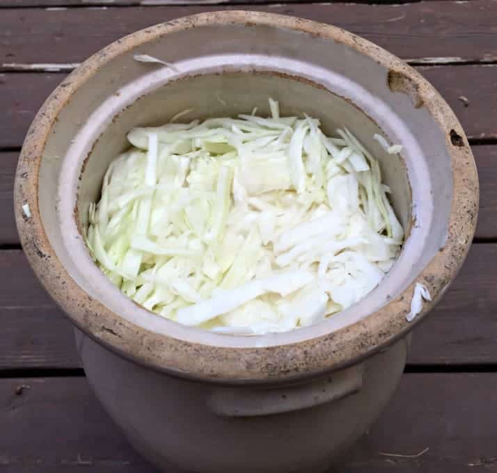 A crock full of shredded cabbage.
