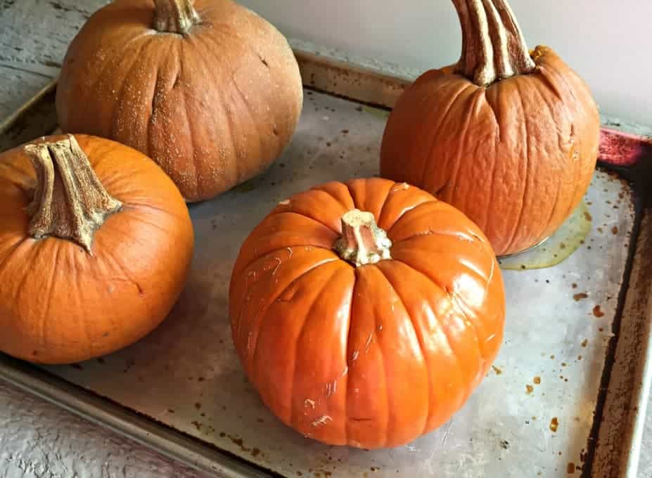 Cooked and cooled pumpkins on a baking sheet.