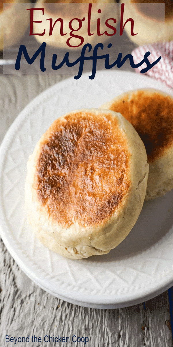 Two english muffins on a white plate.