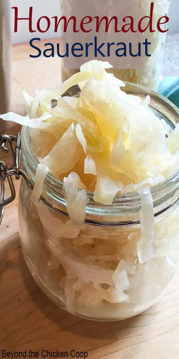 A glass jar filled with fermented cabbage. 