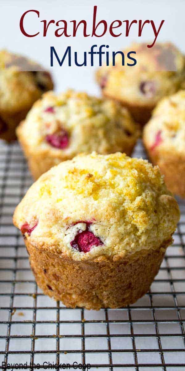 Cranberry muffins arranged on a baking rack. 