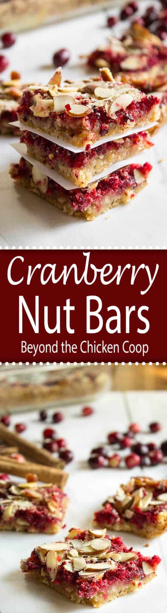 Cranberry Nut Bars Beyond The Chicken Coop