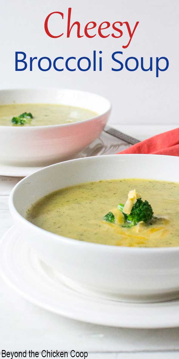 A bowl of creamy soup topped with shredded cheese and broccoli. 