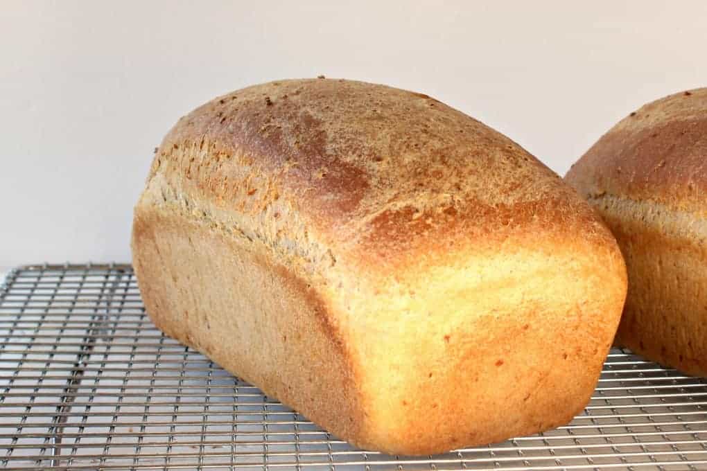 Two loaves of homemade bread on a baking rack.