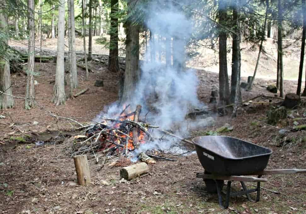 Burning yard scraps - signs of spring