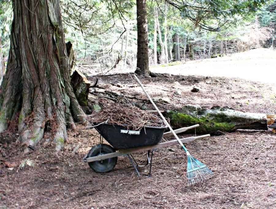 Cleaning up the yard - signs of spring