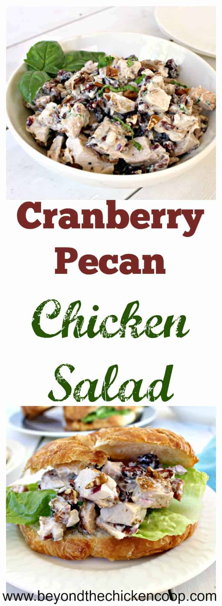 Cranberry Pecan Chicken Salad Beyond The Chicken Coop