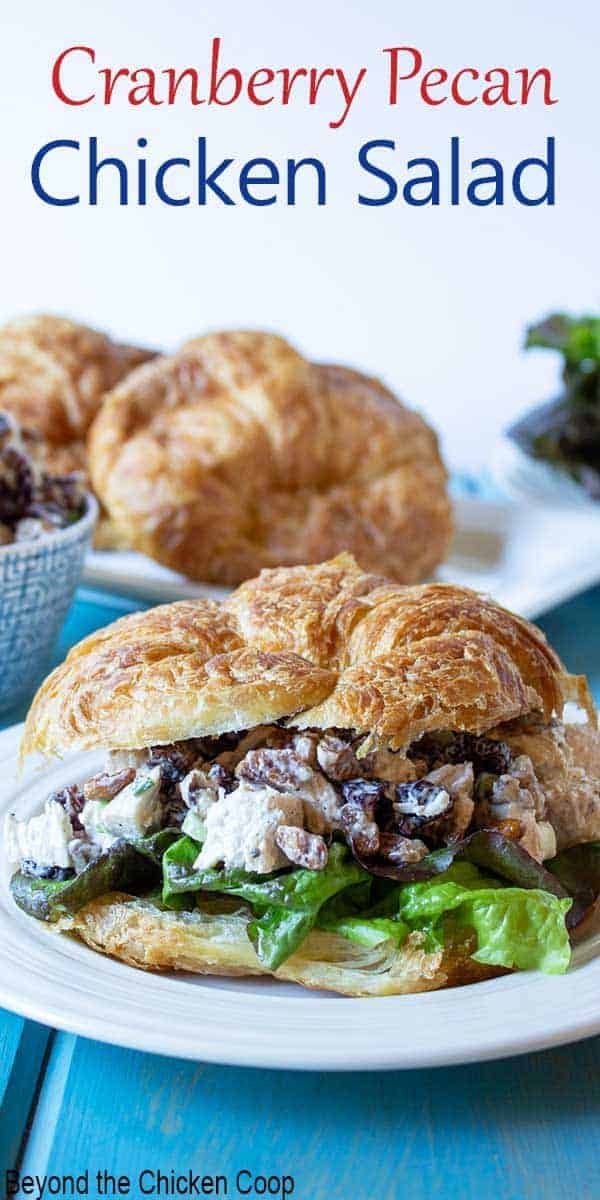 Cranberry Pecan Chicken Salad Beyond The Chicken Coop