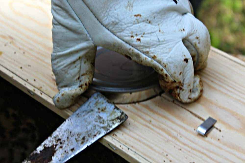 Removing the syrup can from a new package of honey bees.