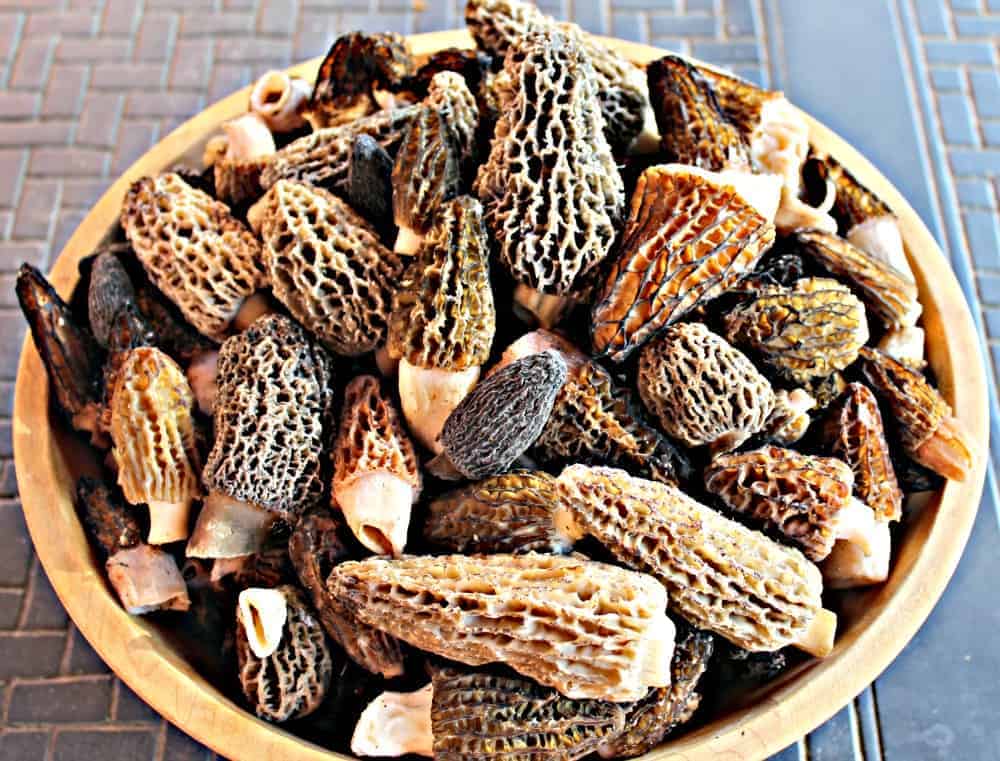 Wild Morel Mushrooms in a wooden bowl.