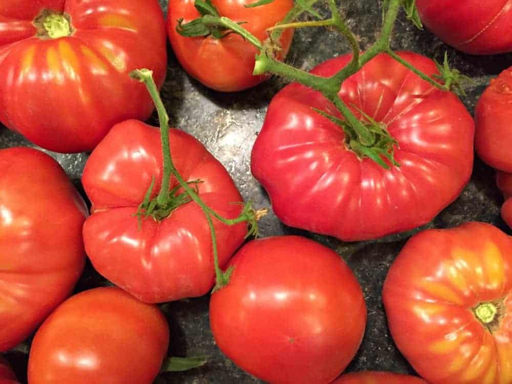 A variety of fresh tomatoes with stems.