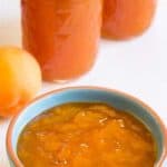 A small blue bowl filled with apricot jam.