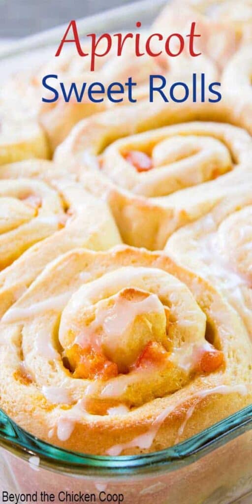 A glass baking dish filled with sweet rolls with apricots.
