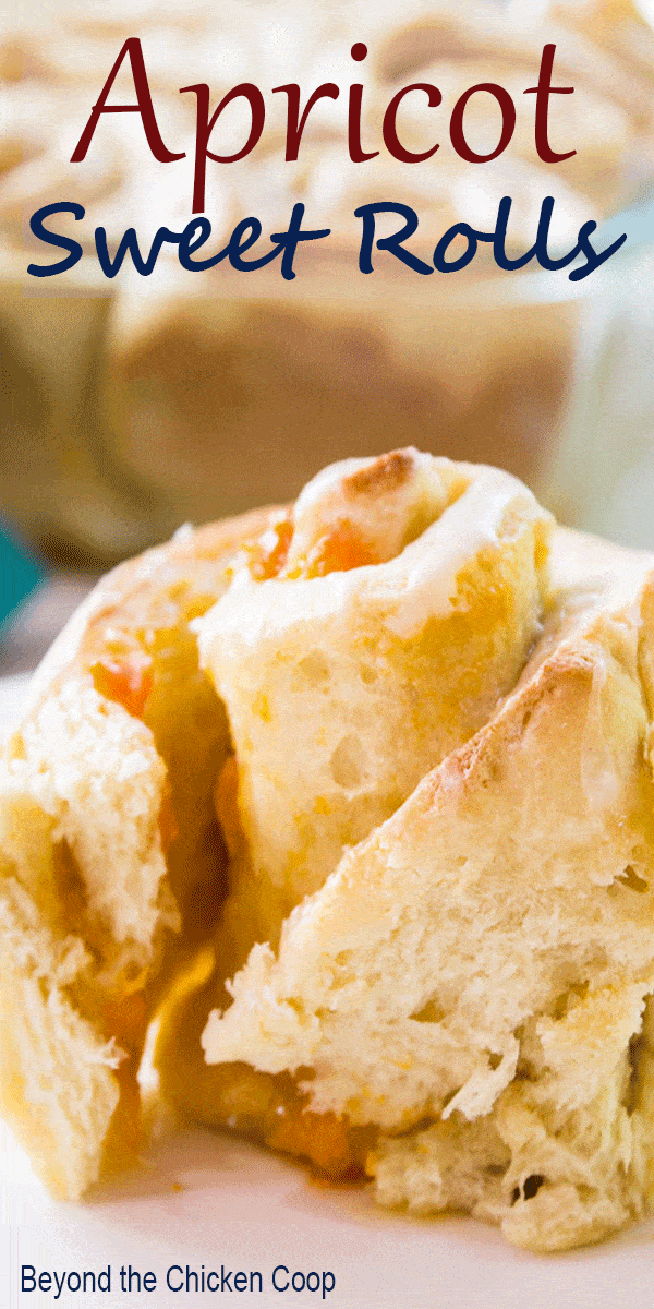 Apricot Sweet Rolls Beyond The Chicken Coop