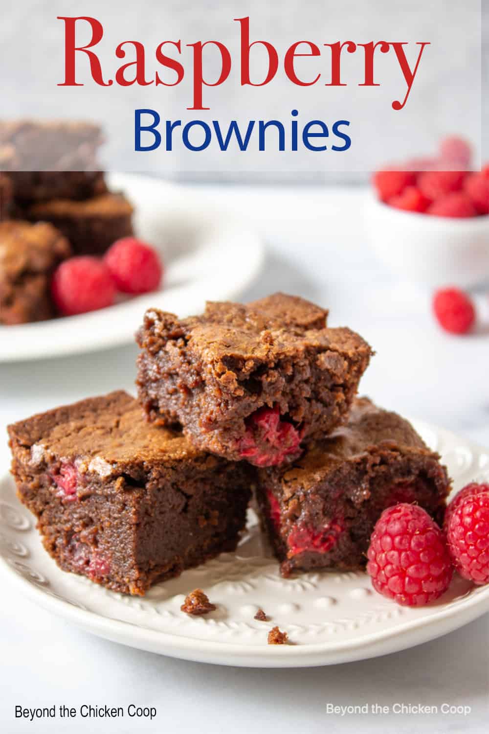 Raspberry Brownies Beyond The Chicken Coop