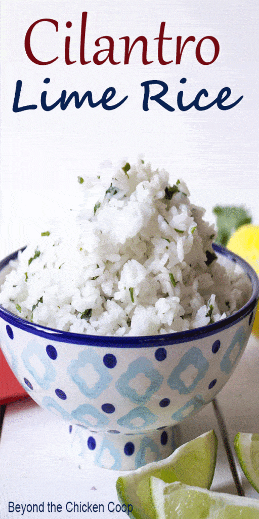 A bowlful of cilantro lime rice
