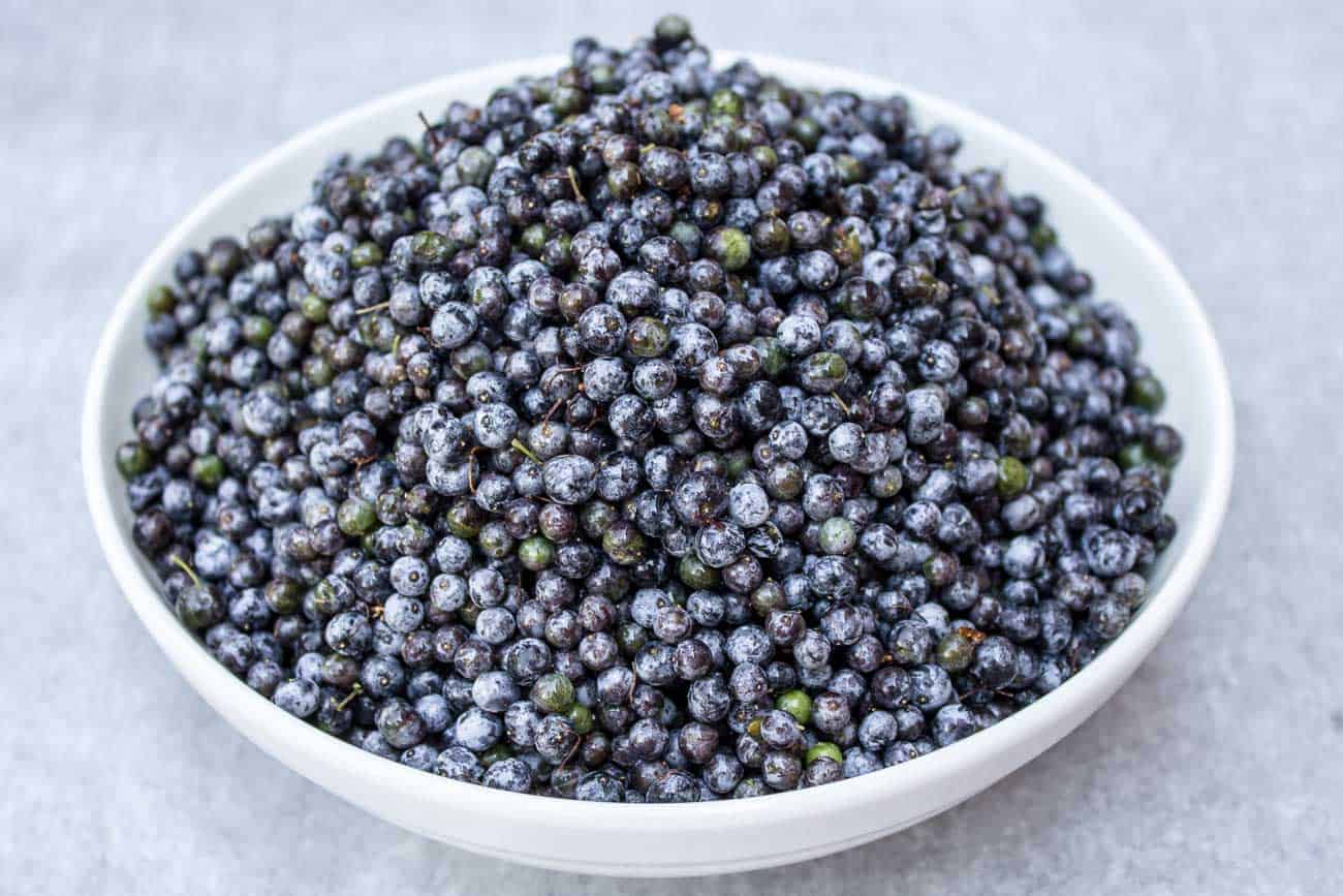 A bowl filled with elderberries.