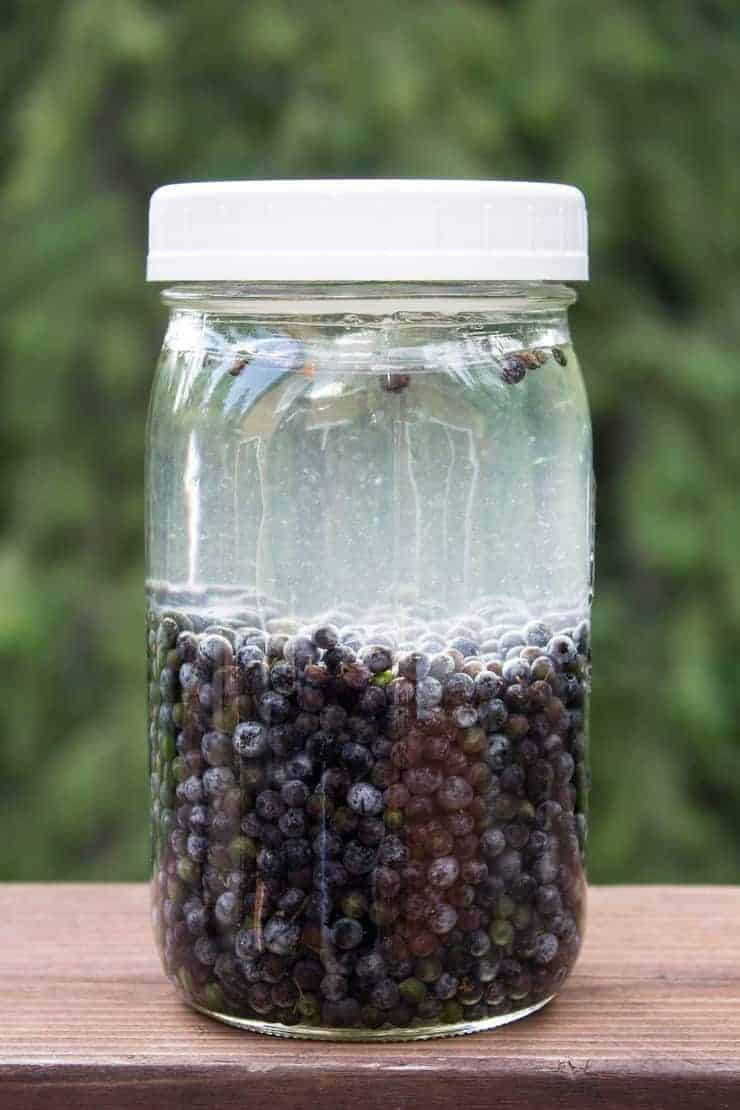 Elderberries in a jar with a lid.