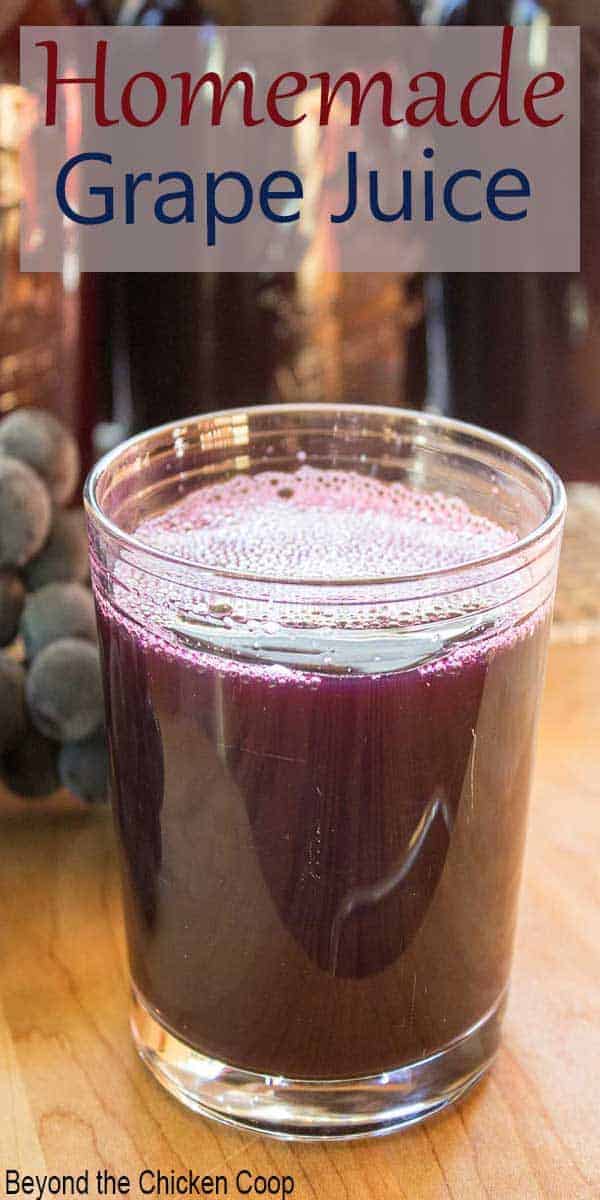A glass filled with purple grape juice.
