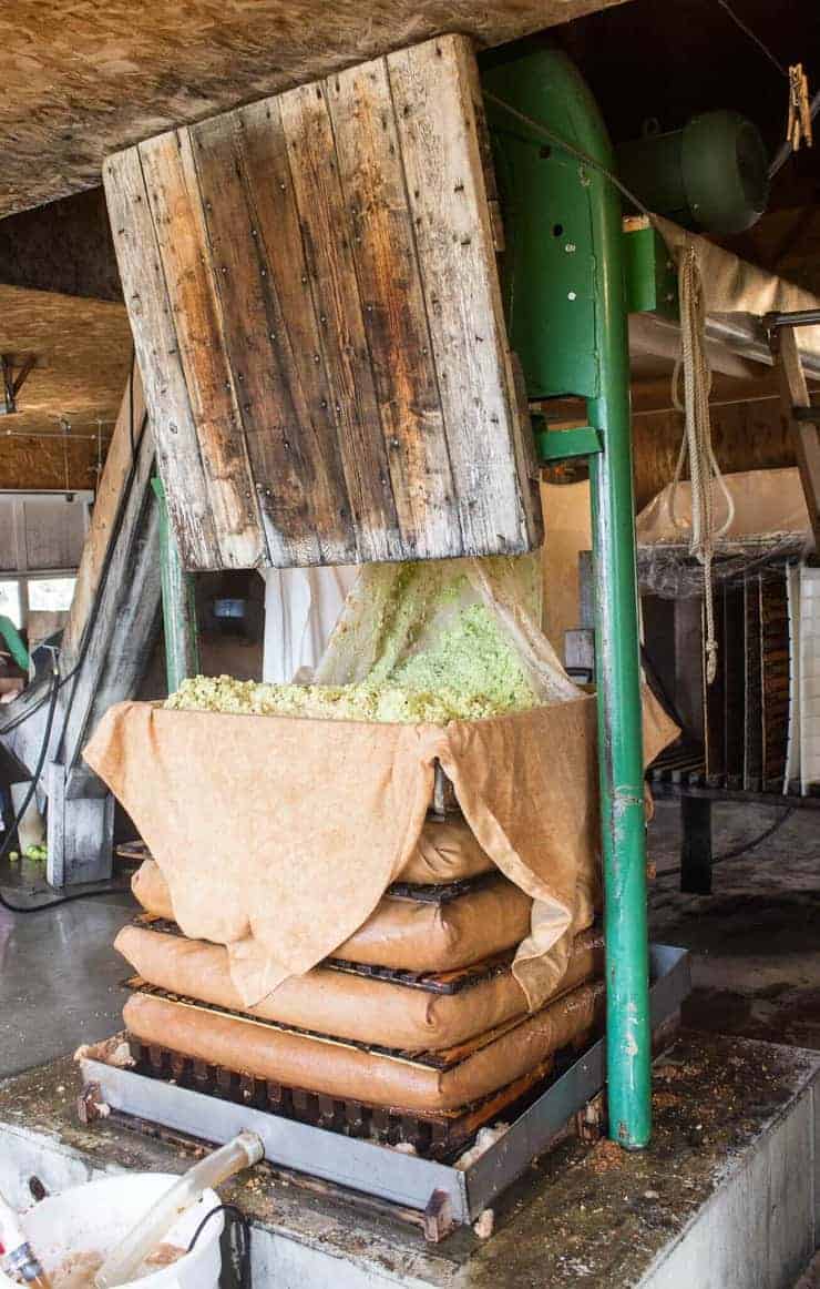 Crushed apples falling onto a pallet with a brown sheet.