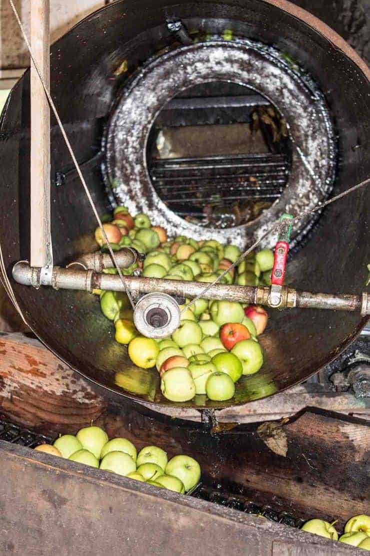 Apples in a large drum and then falling onto a conveyor belt.