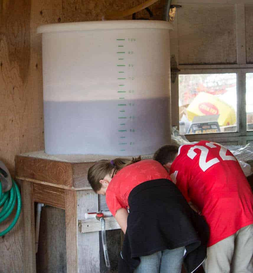 A large container hold 50 gallons of apple cider. 